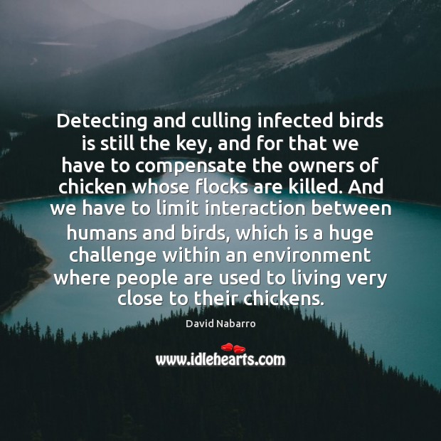 Detecting and culling infected birds is still the key, and for that David Nabarro Picture Quote