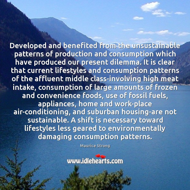 Developed and benefited from the unsustainable patterns of production and consumption which Maurice Strong Picture Quote