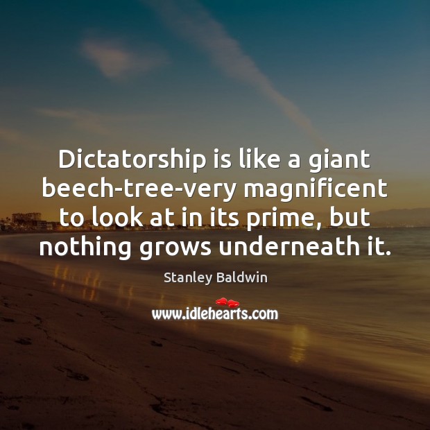 Dictatorship is like a giant beech-tree-very magnificent to look at in its Stanley Baldwin Picture Quote