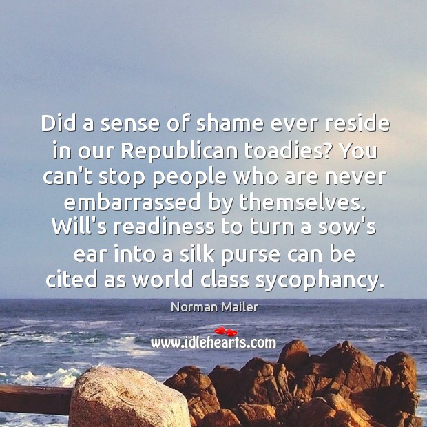 Did a sense of shame ever reside in our Republican toadies? You Norman Mailer Picture Quote