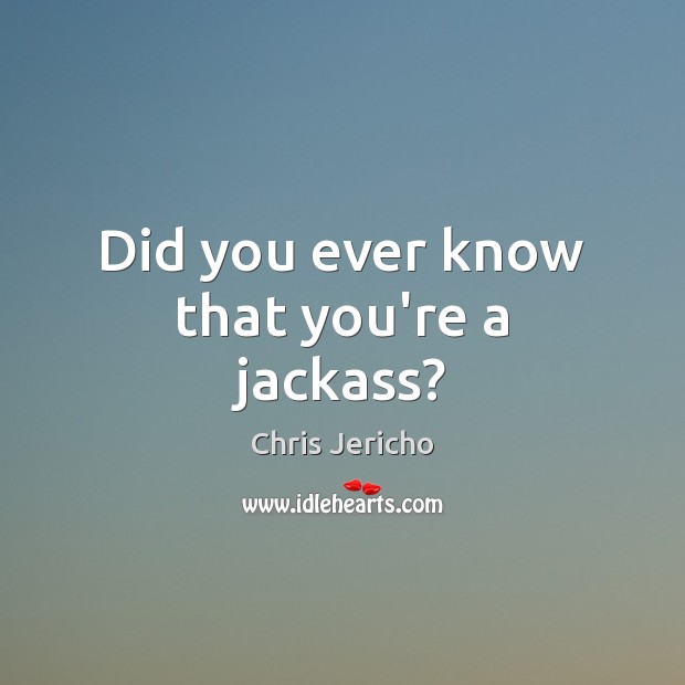 Did you ever know that you’re a jackass? Chris Jericho Picture Quote