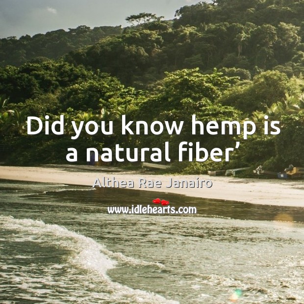 Did you know hemp is a natural fiber’ Althea Rae Janairo Picture Quote