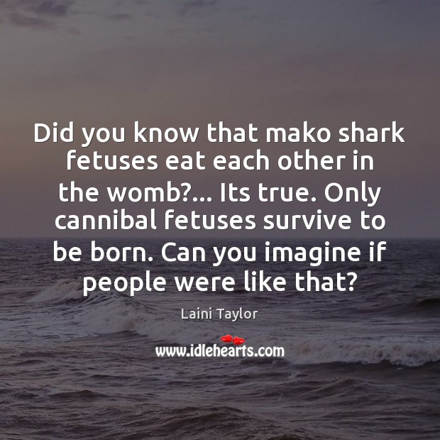 Did you know that mako shark fetuses eat each other in the Laini Taylor Picture Quote