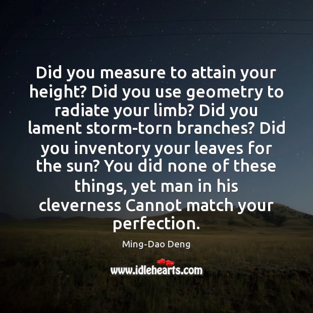 Did you measure to attain your height? Did you use geometry to Ming-Dao Deng Picture Quote