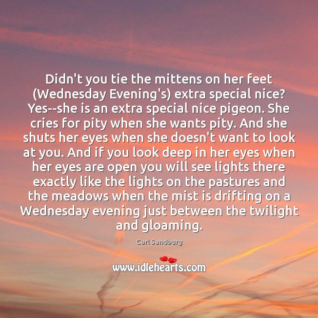 Didn’t you tie the mittens on her feet (Wednesday Evening’s) extra special Carl Sandburg Picture Quote