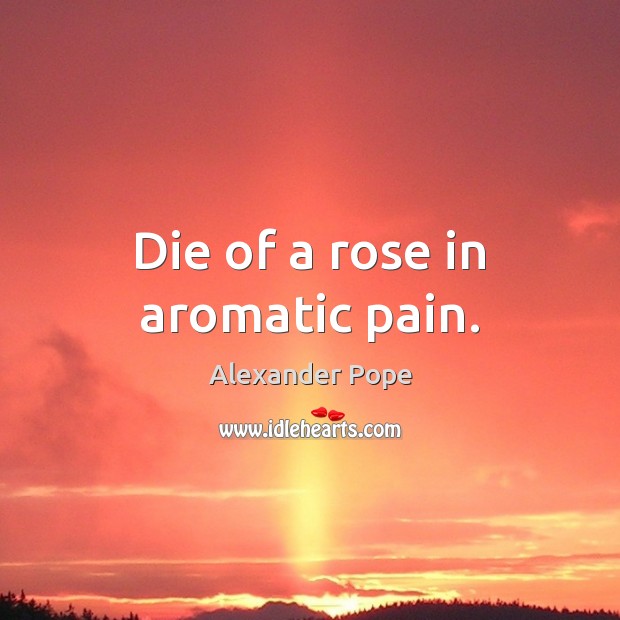 Die of a rose in aromatic pain. Alexander Pope Picture Quote