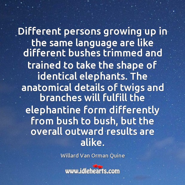 Different persons growing up in the same language are like different bushes Willard Van Orman Quine Picture Quote