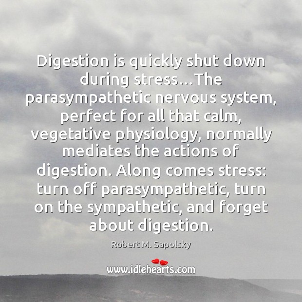 Digestion is quickly shut down during stress…The parasympathetic nervous system, perfect Robert M. Sapolsky Picture Quote