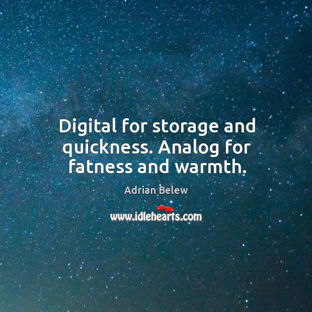 Digital for storage and quickness. Analog for fatness and warmth. Adrian Belew Picture Quote