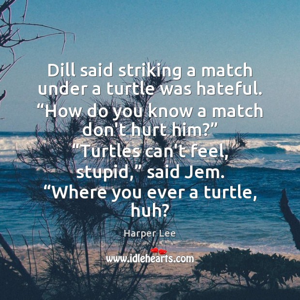 Dill said striking a match under a turtle was hateful. “How do Image