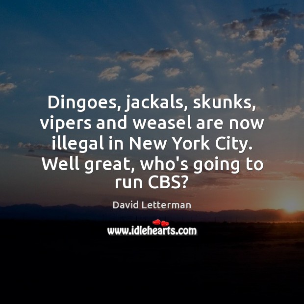 Dingoes, jackals, skunks, vipers and weasel are now illegal in New York David Letterman Picture Quote