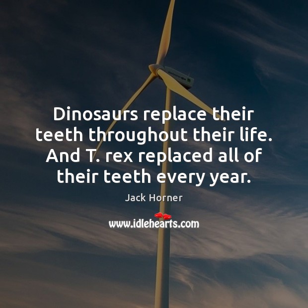 Dinosaurs replace their teeth throughout their life. And T. rex replaced all 