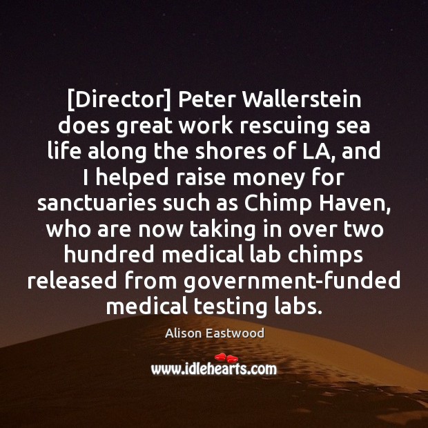 [Director] Peter Wallerstein does great work rescuing sea life along the shores Medical Quotes Image