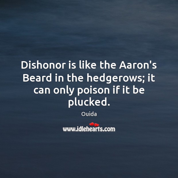Dishonor is like the Aaron’s Beard in the hedgerows; it can only poison if it be plucked. Ouida Picture Quote