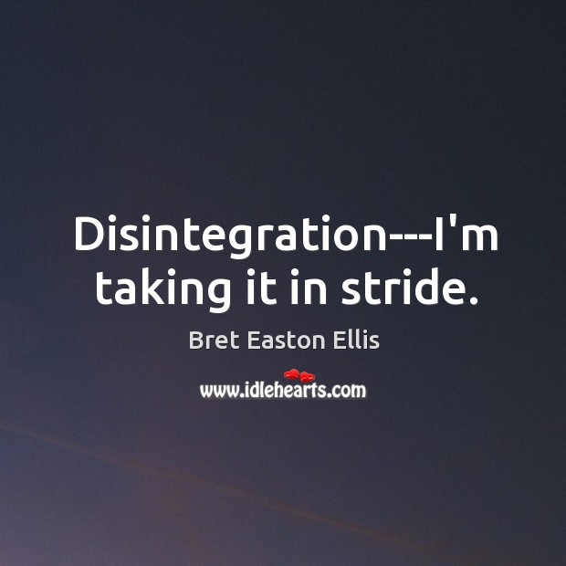 Disintegration—I’m taking it in stride. Bret Easton Ellis Picture Quote