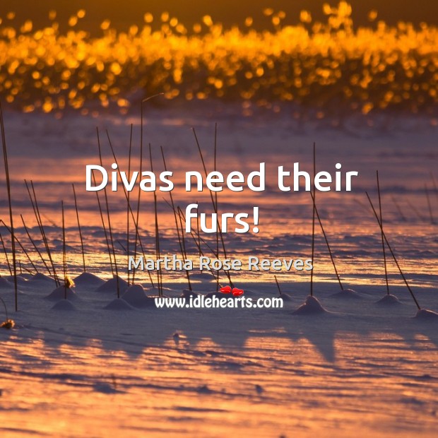 Divas need their furs! Image