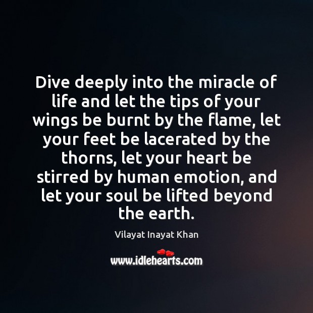 Dive deeply into the miracle of life and let the tips of Vilayat Inayat Khan Picture Quote