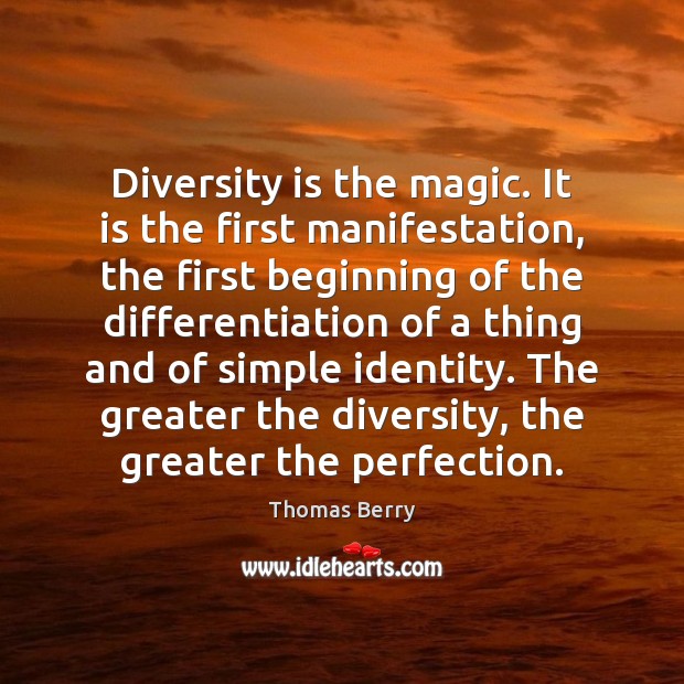 Diversity is the magic. It is the first manifestation, the first beginning Image