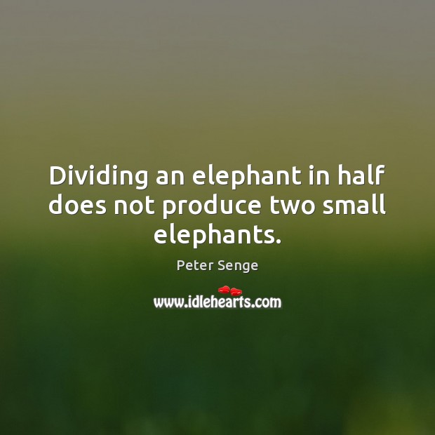 Dividing an elephant in half does not produce two small elephants. Image