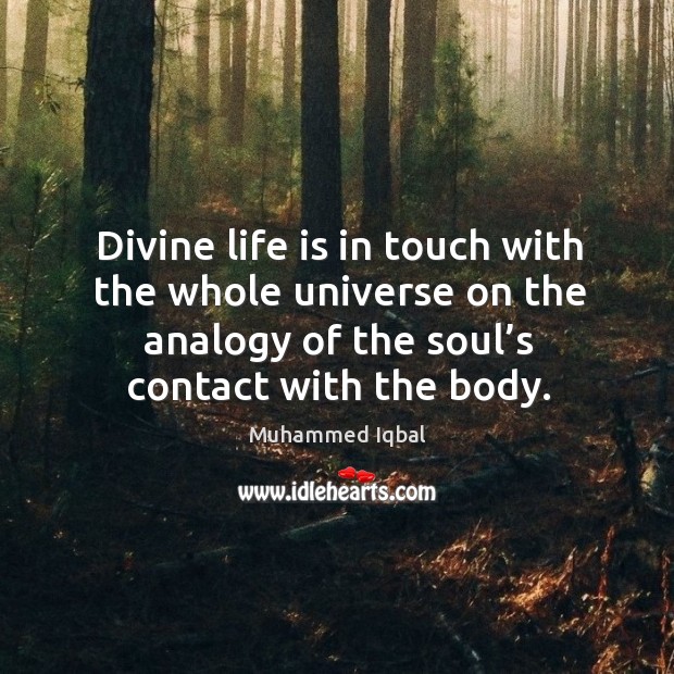 Divine life is in touch with the whole universe on the analogy of the soul’s contact with the body. Muhammed Iqbal Picture Quote