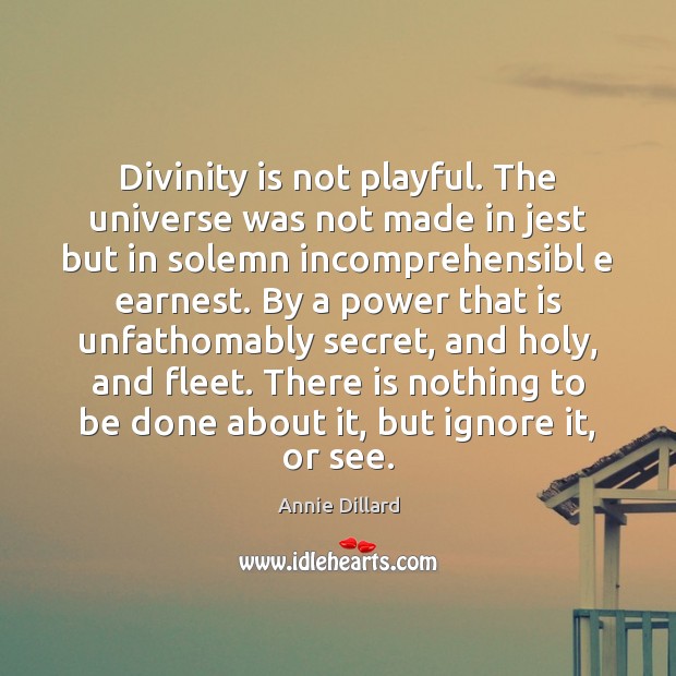 Divinity is not playful. The universe was not made in jest but Annie Dillard Picture Quote