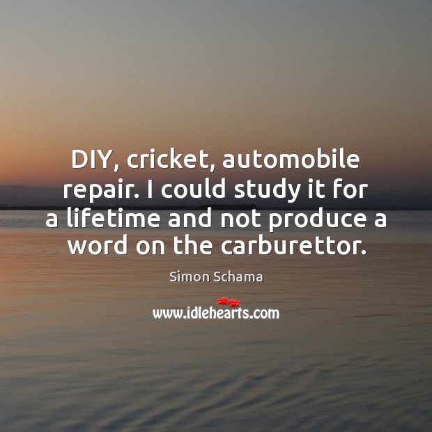 DIY, cricket, automobile repair. I could study it for a lifetime and Simon Schama Picture Quote