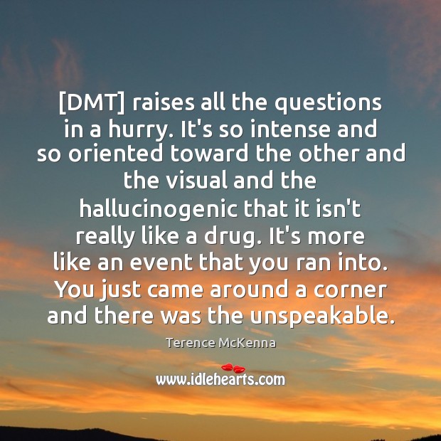 [DMT] raises all the questions in a hurry. It’s so intense and Terence McKenna Picture Quote
