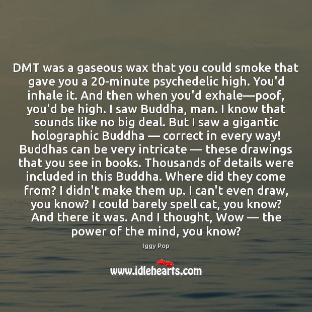 DMT was a gaseous wax that you could smoke that gave you Iggy Pop Picture Quote