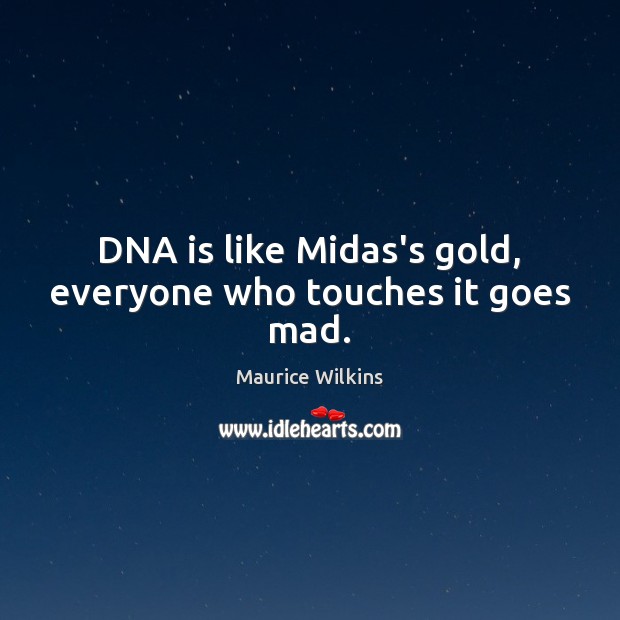 DNA is like Midas’s gold, everyone who touches it goes mad. Maurice Wilkins Picture Quote