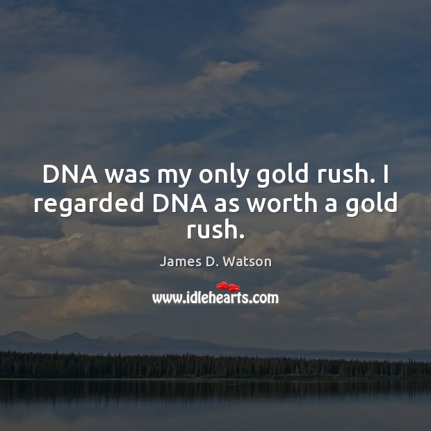 DNA was my only gold rush. I regarded DNA as worth a gold rush. James D. Watson Picture Quote
