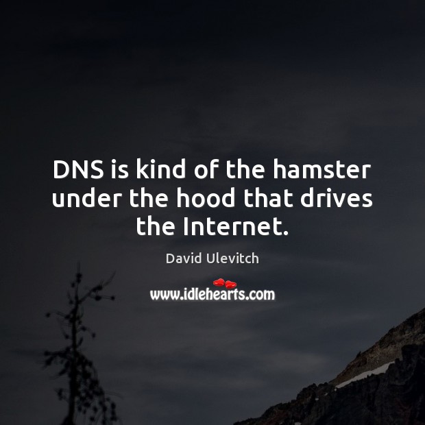 DNS is kind of the hamster under the hood that drives the Internet. David Ulevitch Picture Quote
