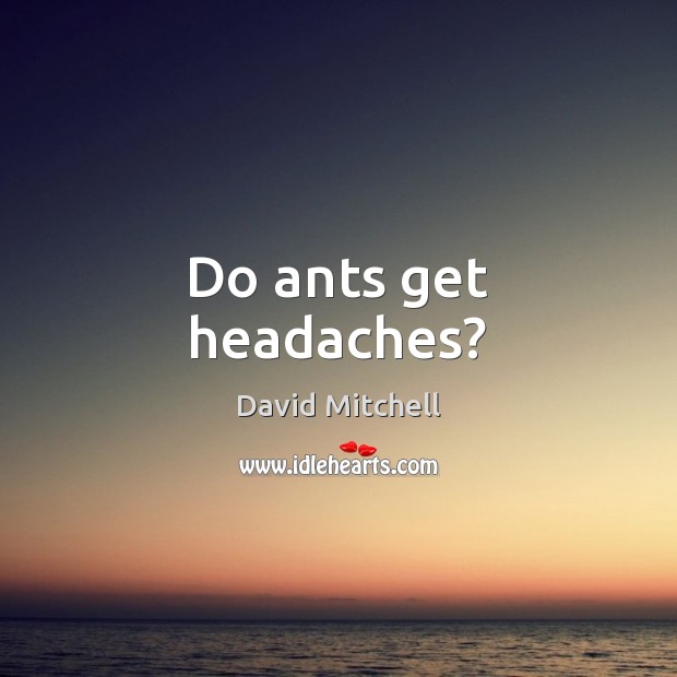 Do ants get headaches? David Mitchell Picture Quote