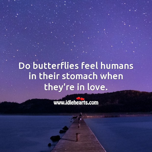 Do butterflies feel humans in their stomach when they’re in love. Funny Quotes Image