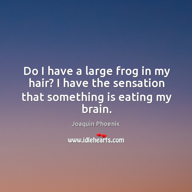 Do I have a large frog in my hair? I have the sensation that something is eating my brain. Image