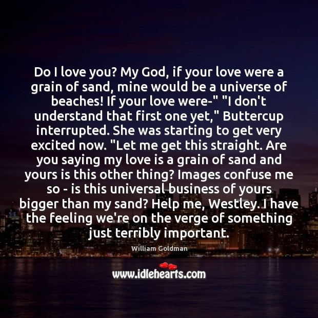 Do I love you? My God, if your love were a grain William Goldman Picture Quote