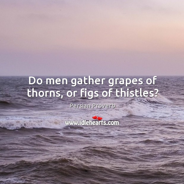 Do men gather grapes of thorns, or figs of thistles? Persian Proverbs Image