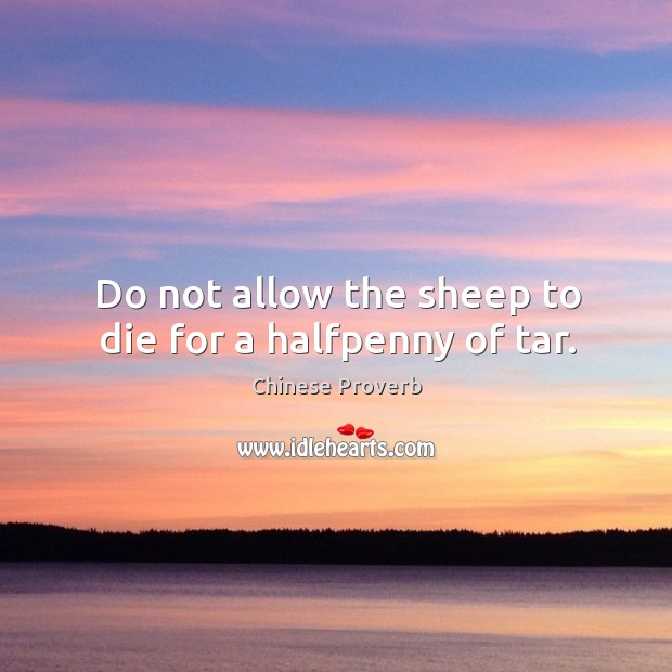 Do not allow the sheep to die for a halfpenny of tar. Chinese Proverbs Image