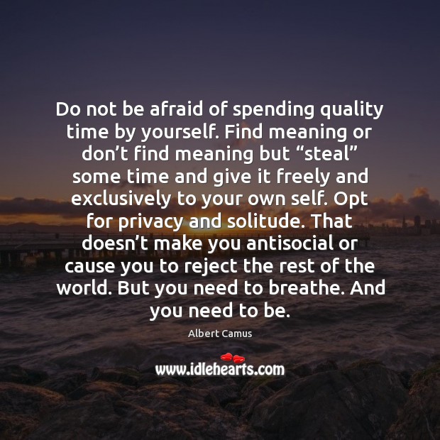 Do not be afraid of spending quality time by yourself. Find meaning Albert Camus Picture Quote