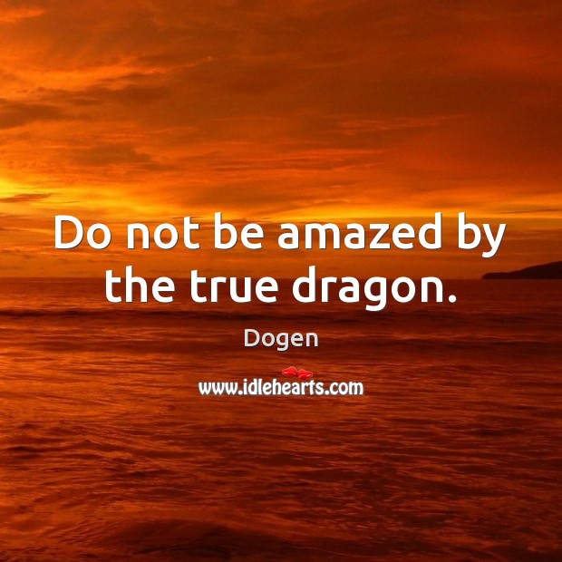 Do not be amazed by the true dragon. Image