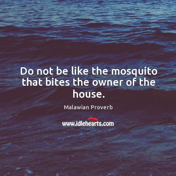 Do not be like the mosquito that bites the owner of the house. Malawian Proverbs Image