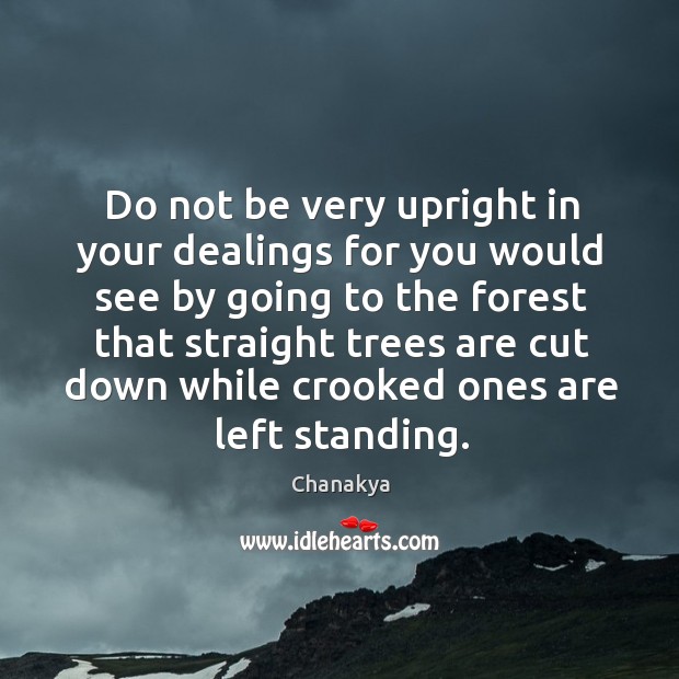 Do not be very upright in your dealings for you would see by going to the forest Image