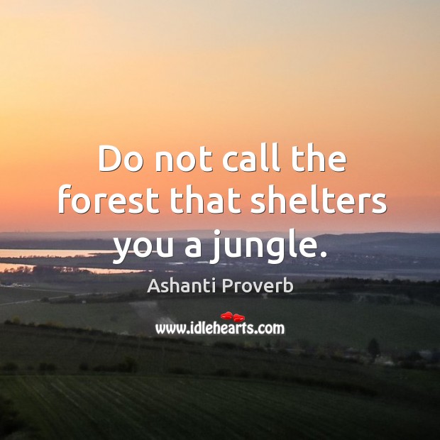 Do not call the forest that shelters you a jungle. Ashanti Proverbs Image