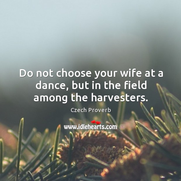 Do not choose your wife at a dance, but in the field among the harvesters. Czech Proverbs Image