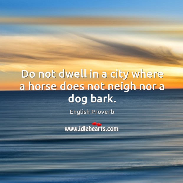 Do not dwell in a city where a horse does not neigh nor a dog bark. English Proverbs Image