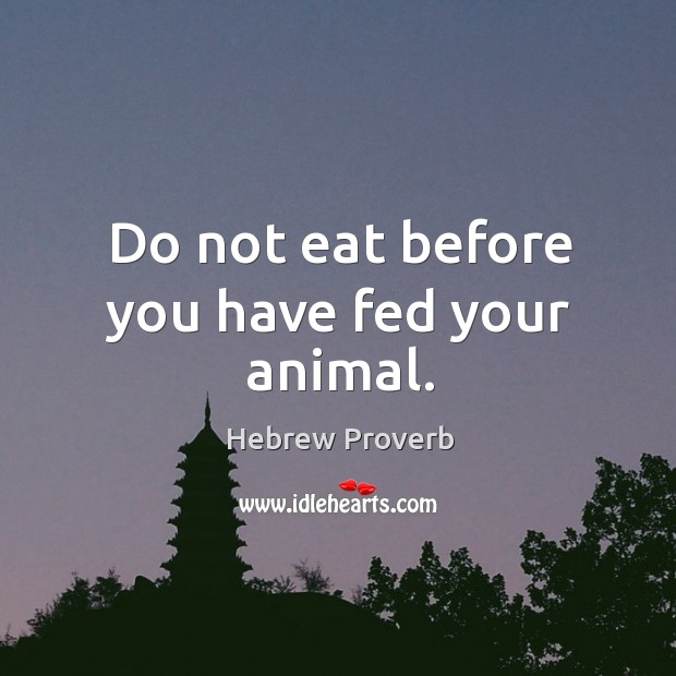 Do not eat before you have fed your animal. Hebrew Proverbs Image