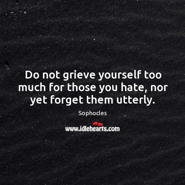 Do not grieve yourself too much for those you hate, nor yet forget them utterly. Hate Quotes Image