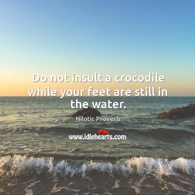 Do not insult a crocodile while your feet are still in the water. Nilotic Proverbs Image