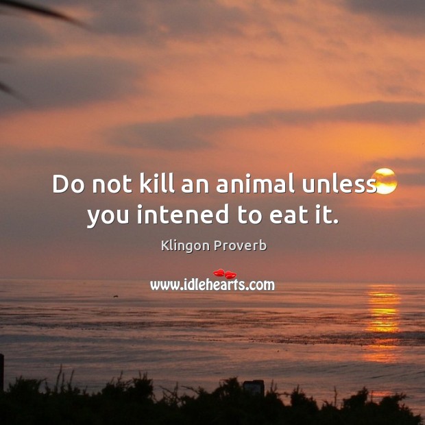 Do not kill an animal unless you intened to eat it. Klingon Proverbs Image