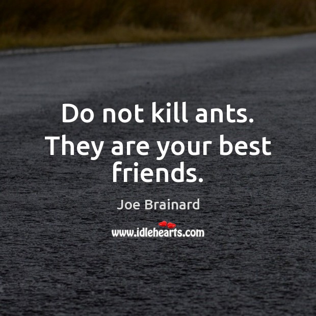 Do not kill ants. They are your best friends. Image