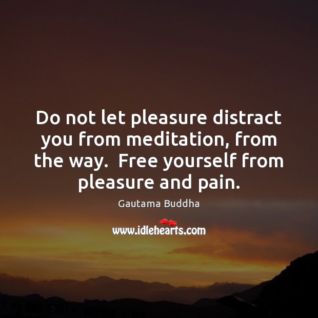 Do not let pleasure distract you from meditation, from the way.  Free Gautama Buddha Picture Quote
